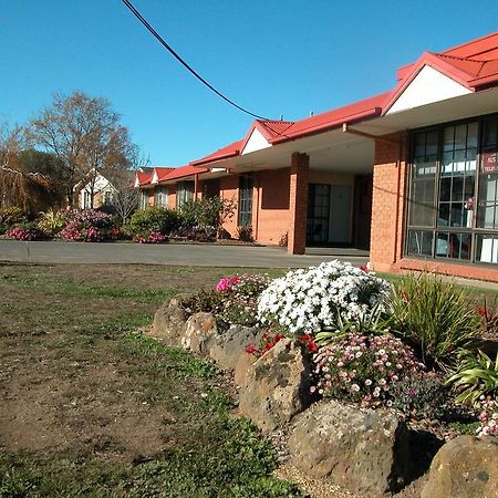 Ambassador Motor Inn Ballarat Room photo
